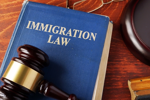 A hardcover book titled “IMMIGRATION LAW” rests beside a wooden gavel on a desk inside a legal aid office—evoking the pursuit of justice and protection for immigrant communities.